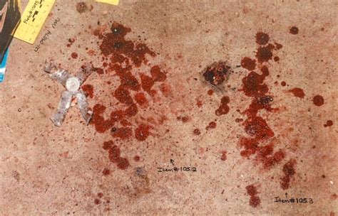 Crime Scene Graphic from Paul and Maggie’s Murder